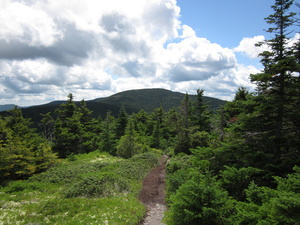 Appalachian Trail 