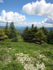 Appalachian Trail 