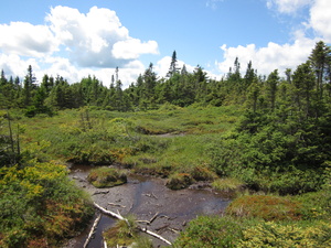 Appalachian Trail 