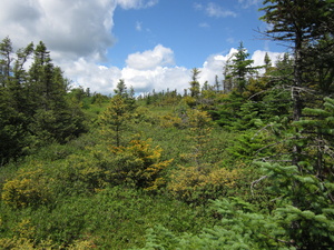 Appalachian Trail 