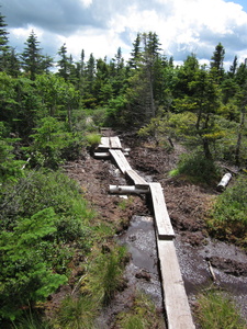 Appalachian Trail 