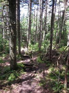 Appalachian Trail 