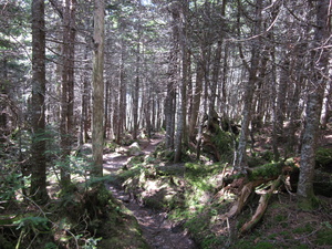 Appalachian Trail 