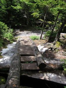 Appalachian Trail Ladder