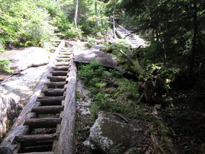 Appalachian Trail Ladder