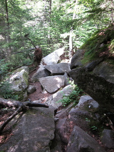 Appalachian Trail 