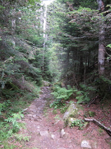 Appalachian Trail 