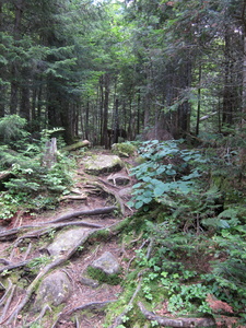 Appalachian Trail 