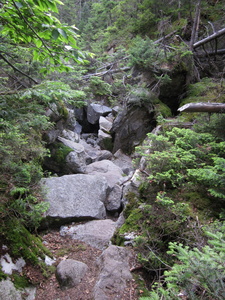 Appalachian Trail 