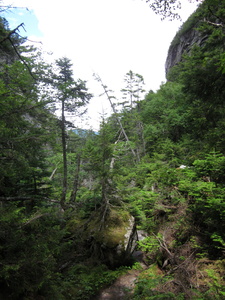 Appalachian Trail 