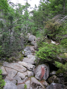 Appalachian Trail Mahoosuc Notch