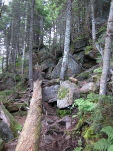 Appalachian Trail 