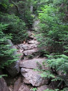 Appalachian Trail 