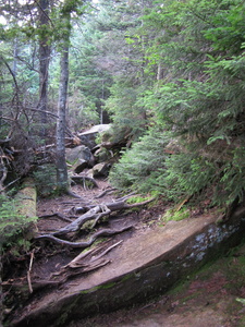 Appalachian Trail 