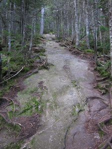 Appalachian Trail 