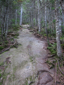 Appalachian Trail 