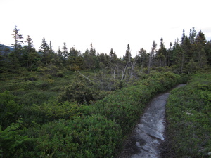 Appalachian Trail 