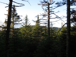 Appalachian Trail 