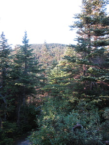 Appalachian Trail 