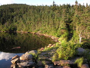 Appalachian Trail Speck Pond