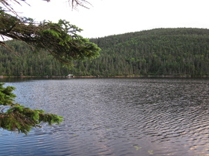 Appalachian Trail Speck Pond