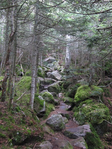 Appalachian Trail 