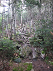 Appalachian Trail 