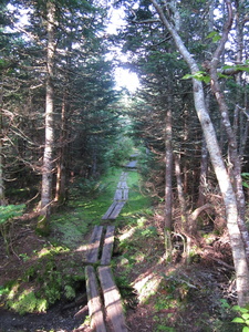 Appalachian Trail 