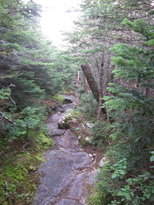 Appalachian Trail 