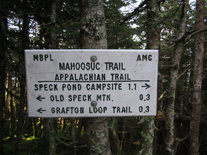 Appalachian Trail Mahoosuk Trail - Speck Pond Campsite 1.1 miles