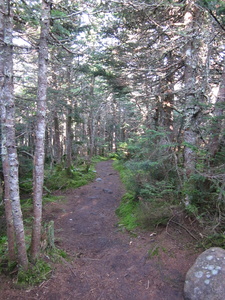 Appalachian Trail 