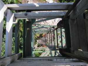 Appalachian Trail Tower ladder