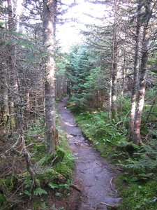 Appalachian Trail 