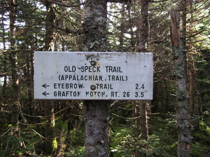 Appalachian Trail Old Speck Trail - 2.4 miles to Eyebrow Trail