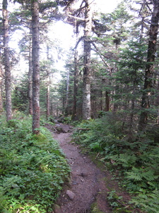 Appalachian Trail 