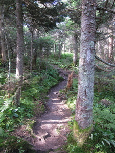 Appalachian Trail 