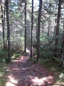 Appalachian Trail 