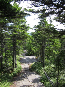 Appalachian Trail 