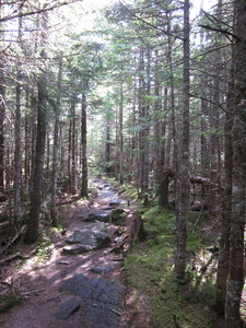 Appalachian Trail 