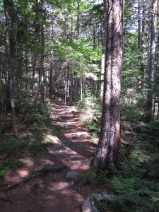 Appalachian Trail 