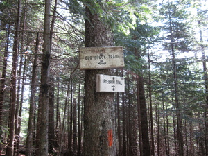 Appalachian Trail Intersection of Old Spec Trail and Eyebrow Trail