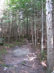 Appalachian Trail 