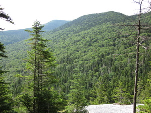 Appalachian Trail 