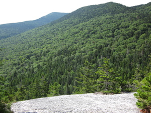 Appalachian Trail 