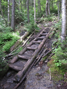 Appalachian Trail Ladder