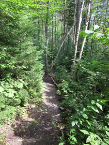 Appalachian Trail 