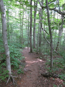 Appalachian Trail 