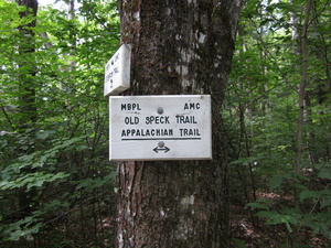 Appalachian Trail Old Speck Trail