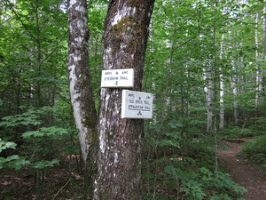 Appalachian Trail Intersection Old Speck Trail and Eyebrow Trail