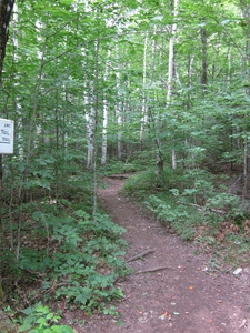 Appalachian Trail 